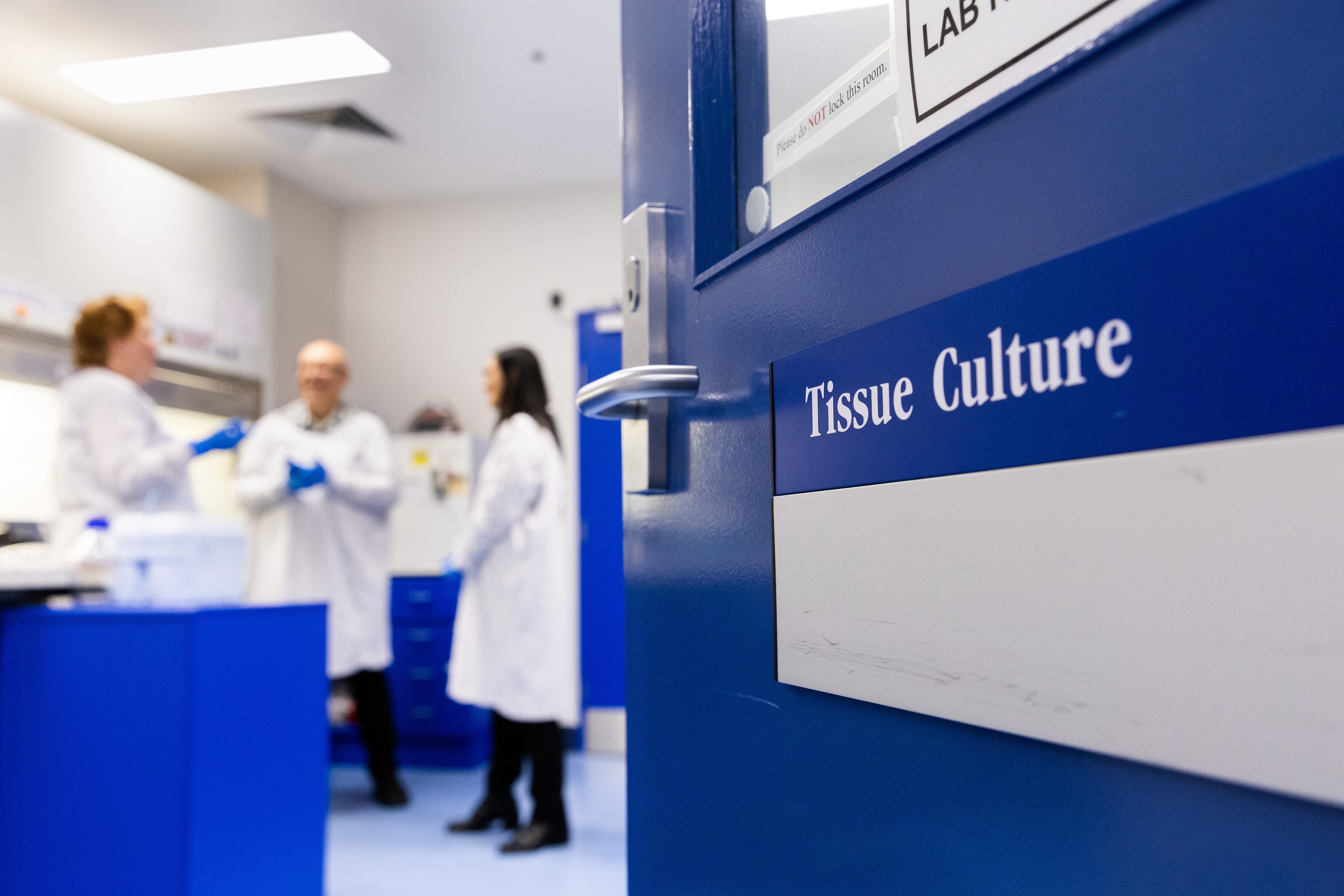 Tissue Culture Lab
