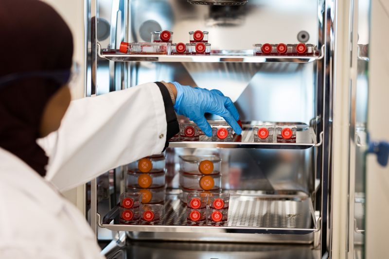 Student grabbing a sample from the fridge