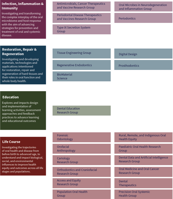 Research themes