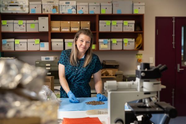 Associate Professor Hardiman examining teeth laid out on a bench, that were excavated from the archaeological dig of the Metro Rail Tunnel project on Swanston Street in her laboratory in the Melbourne Dental School